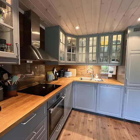 New Cozy Cabin By Ski Trails & Nature Paths! Beitostolen
